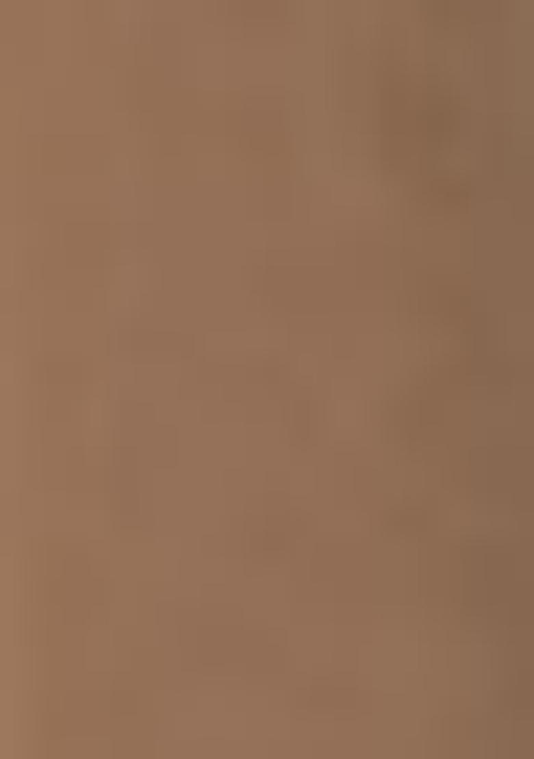 Brown Embroidered Faux Georgette Salwar Kameez With Dupatta - Indya