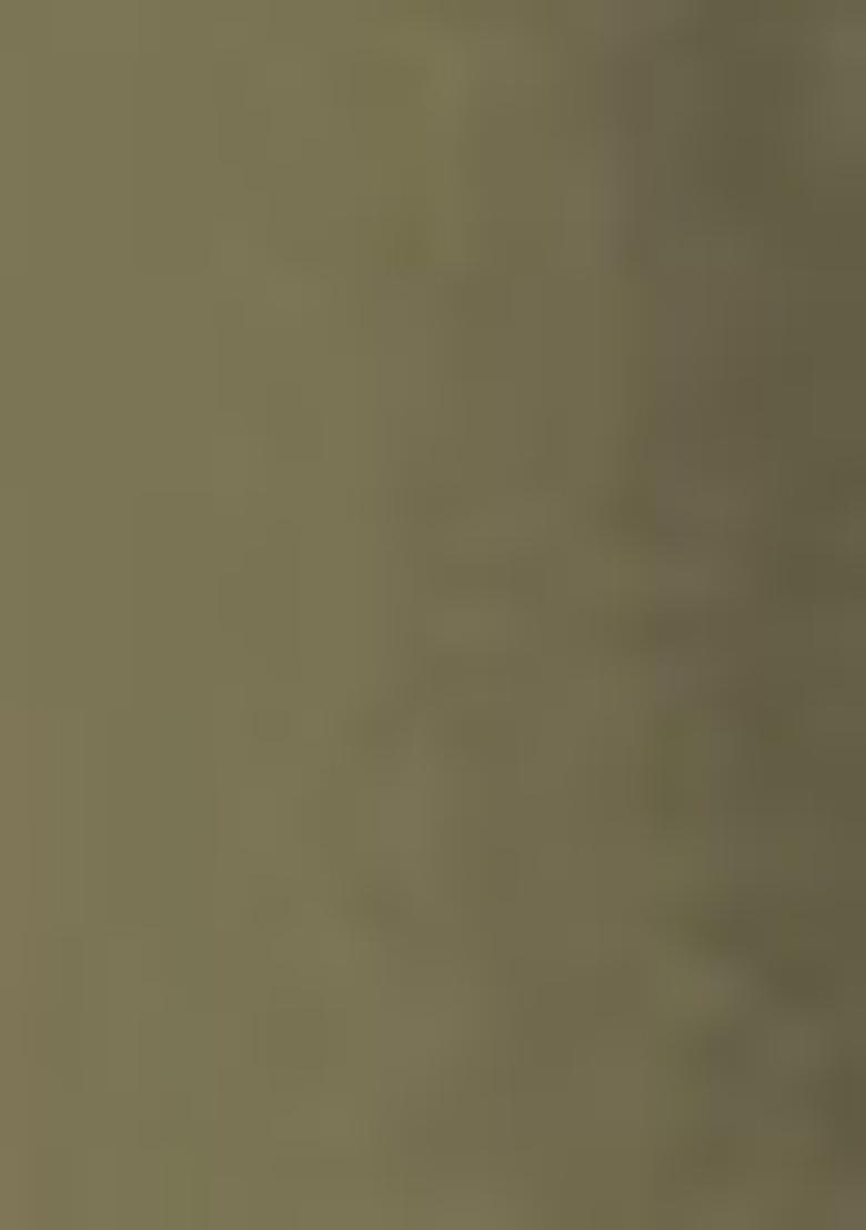 Green Embroidered Faux Georgette Salwar Kameez With Dupatta