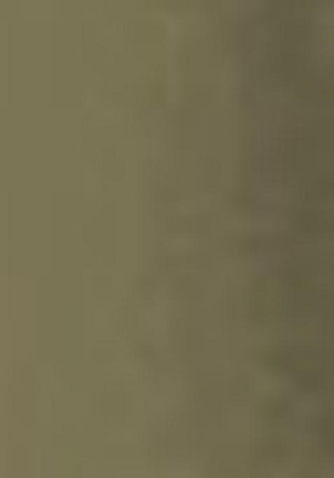 Green Embroidered Faux Georgette Salwar Kameez With Dupatta