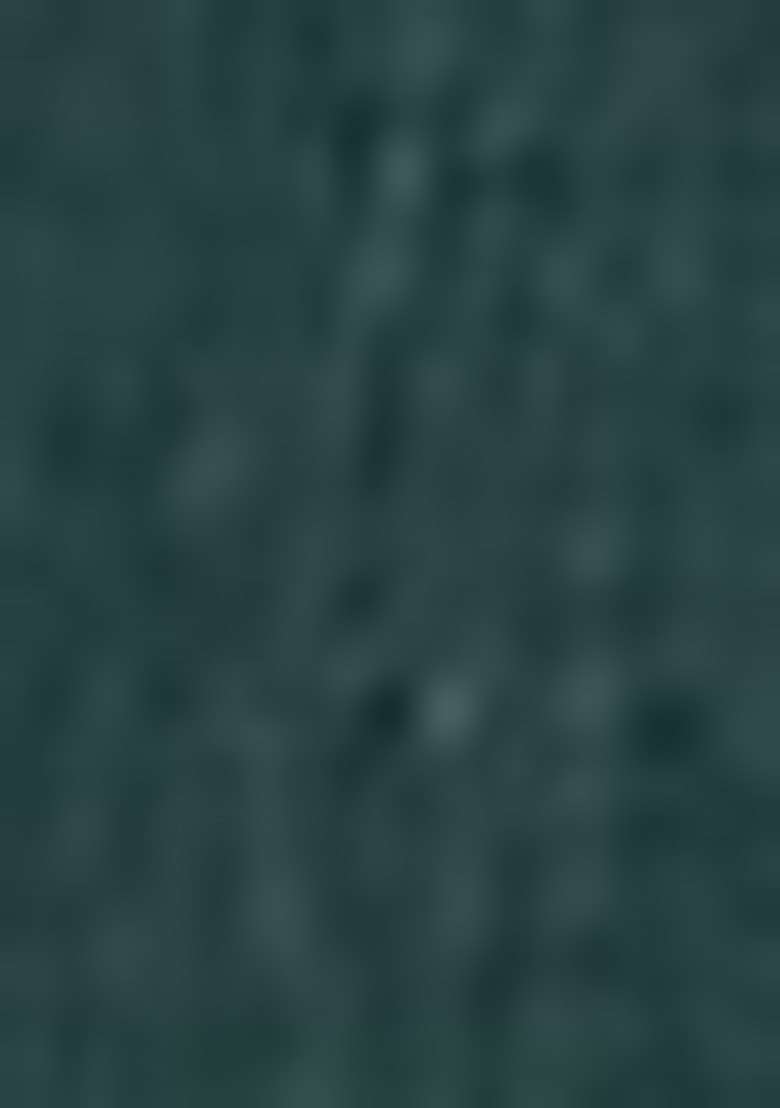 Green Embroidered Silk Pakistani Suit Set - Indya