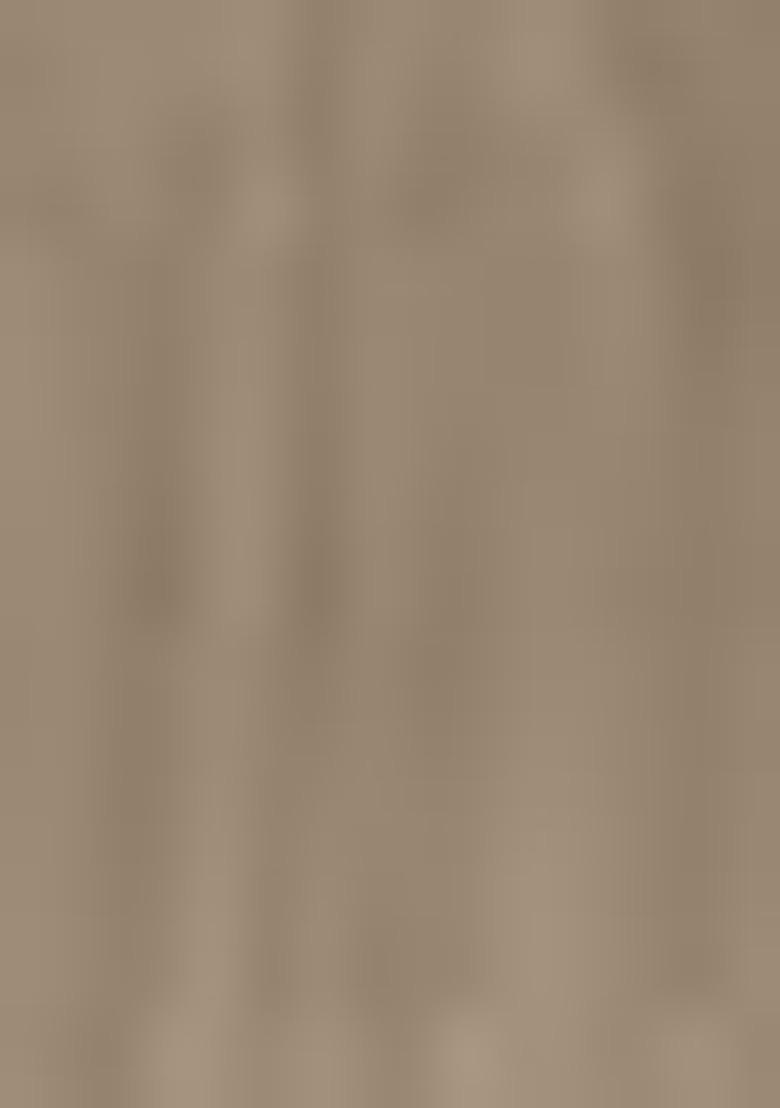 Beige Embroidered Georgette  Pakistani Salwar Kameez With Dupatta