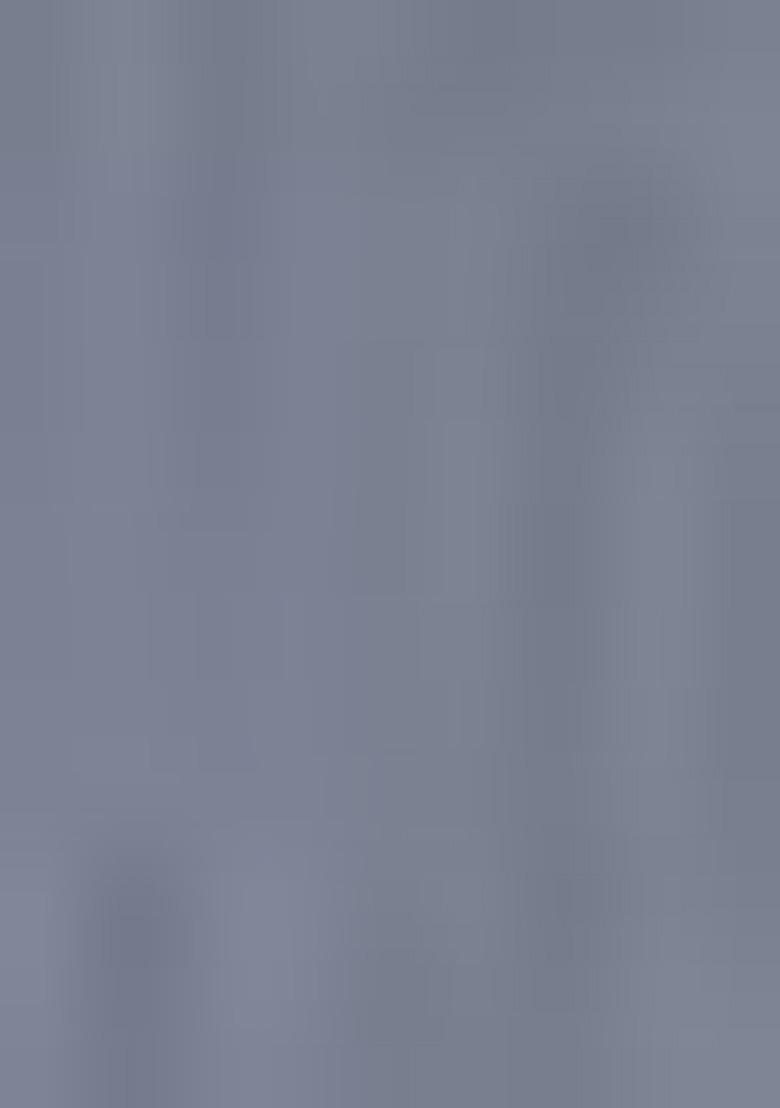 Grey Embroidered Georgette  Pakistani Salwar Kameez With Dupatta