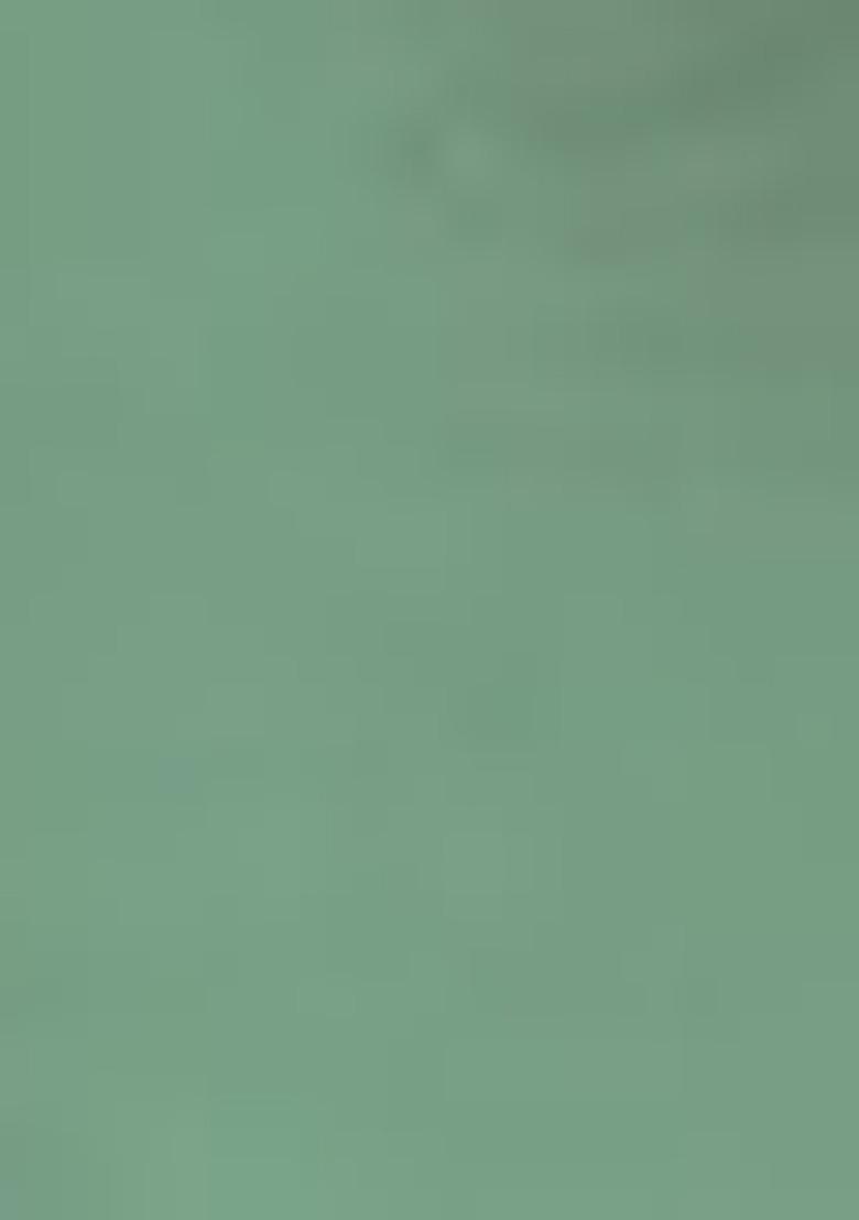 Green Embroidered Georgette Salwar Kameez With Dupatta