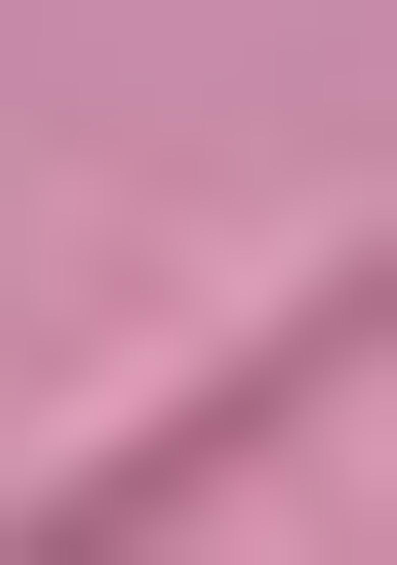 Onion Pink Embroidered Georgette Dress Material