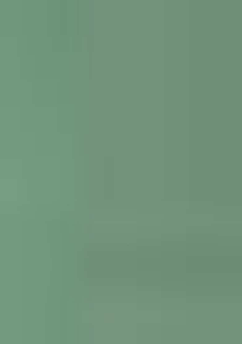 Sea Green Embroidered Faux Georgette Salwar Kameez With Dupatta - Indya