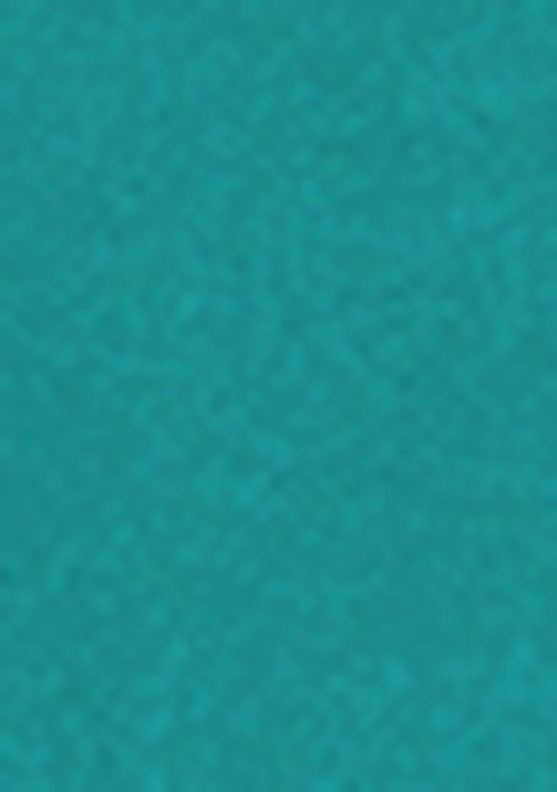 Sea Green Embroidered Silk Salwar Kameez With Dupatta