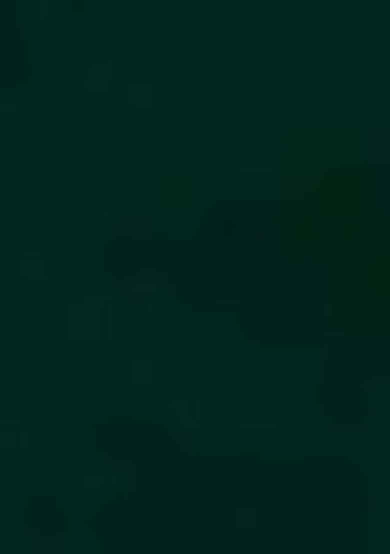 Green Embroidered Georgette Sharara Set With Dupatta