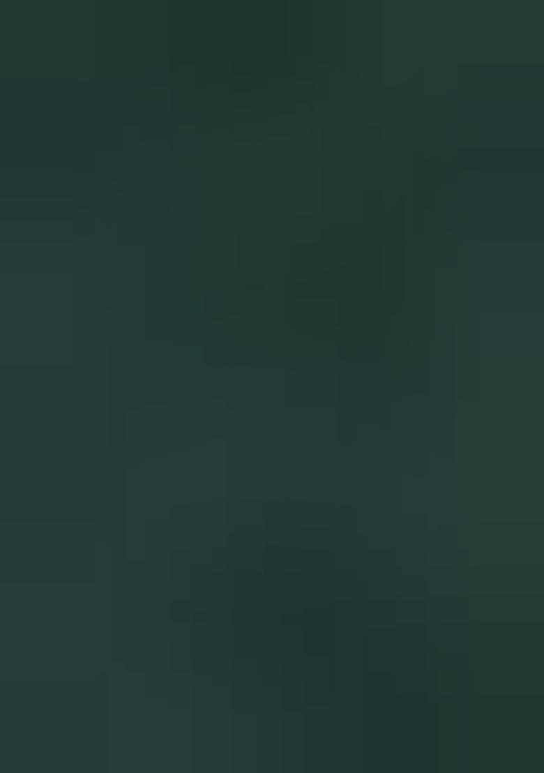 Green Embroidered Georgette Dress Material