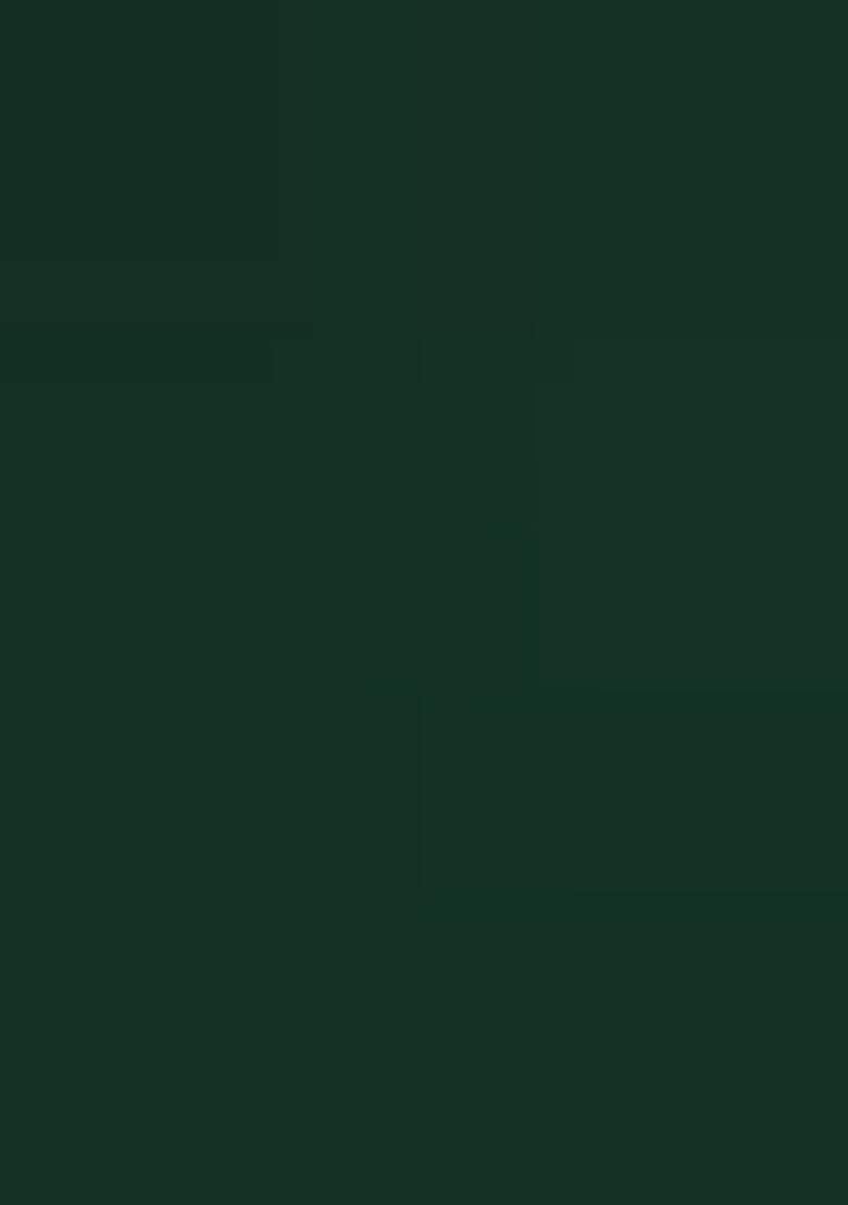 Green Embroidered Georgette Dress Material