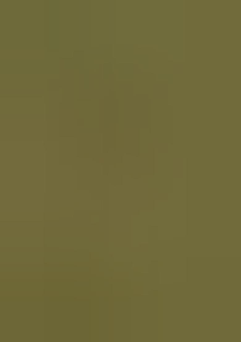 Green Embroidered Muslin Dress Material