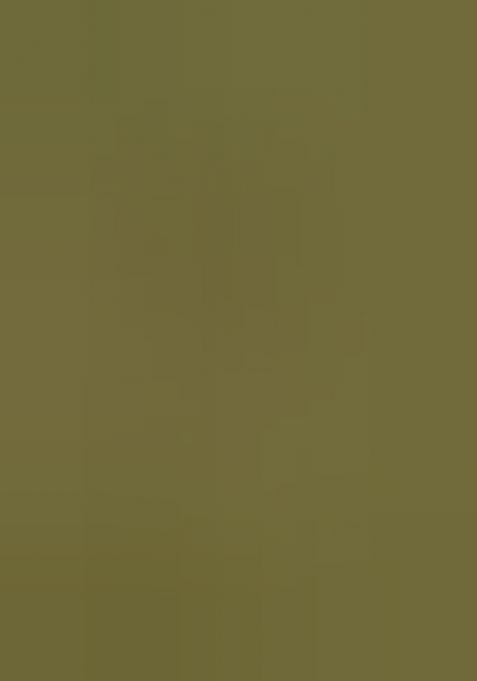 Green Embroidered Muslin Dress Material