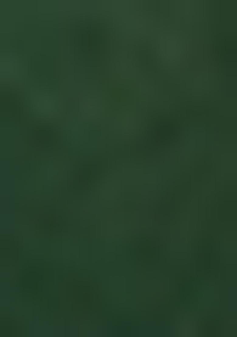 Green Embroidered Organza Dress Material