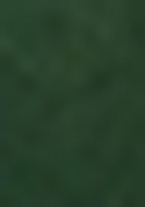 Green Embroidered Organza Dress Material