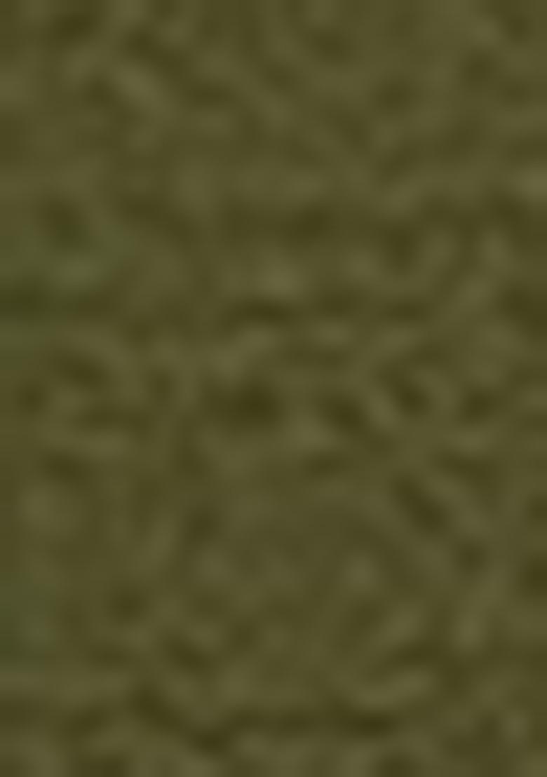 Beige Embroidered Cotton Salwar Kameez