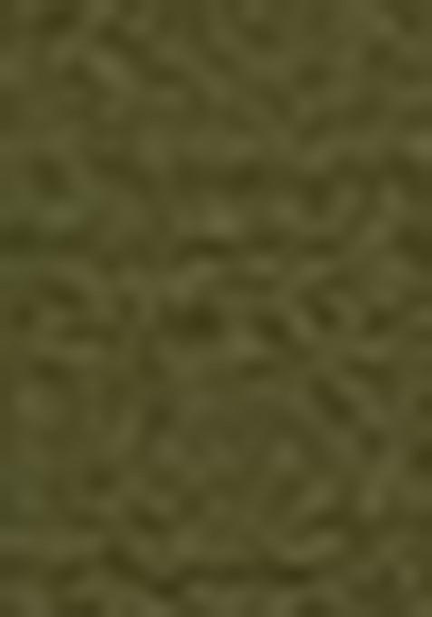 Beige Embroidered Cotton Salwar Kameez