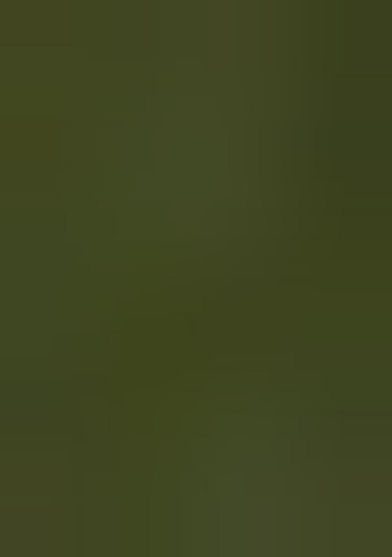 Olive Embroidered Georgette Salwar Kameez With Dupatta - Indya