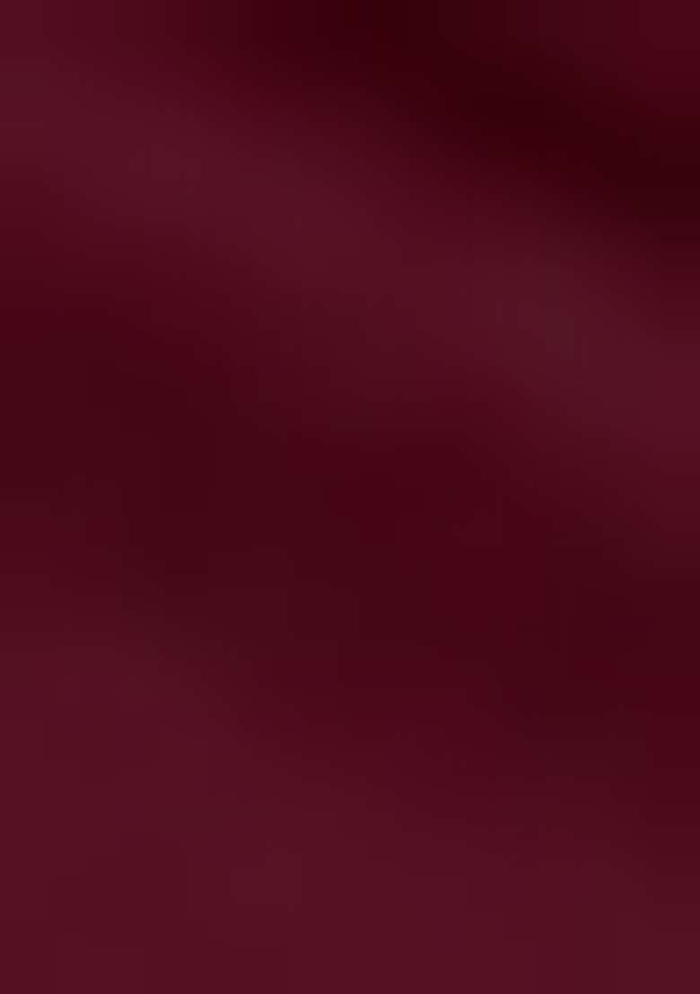 Maroon Embroidered Georgette Sharara Set - Indya