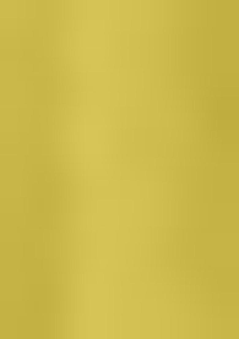 Olive Embroidered Georgette Salwar Kameez With Dupatta - Indya