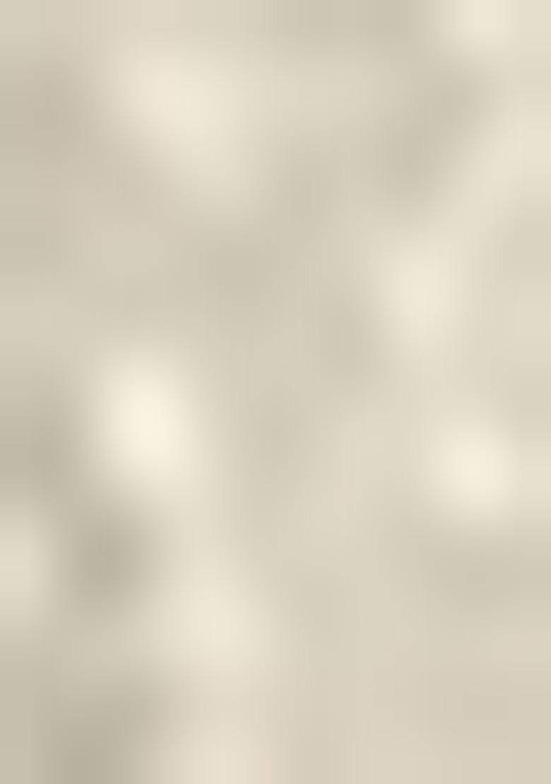 White Embroidered Georgette Salwar Kameez With Dupatta - Indya