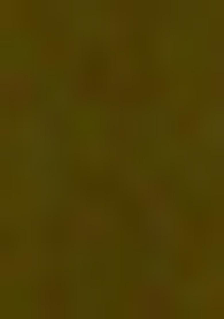 Olive Embroidered Georgette Salwar Kameez With Dupatta - Indya