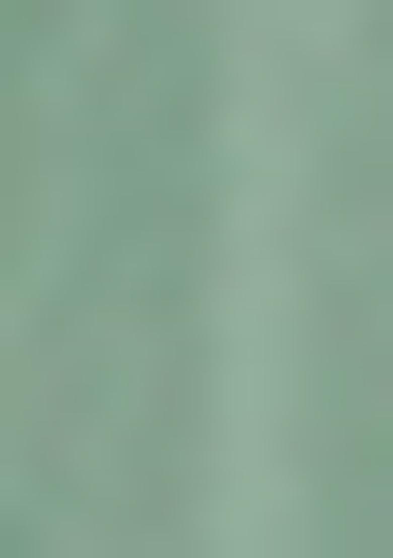 Green Embroidered Net Salwar Kameez With Dupatta - Indya