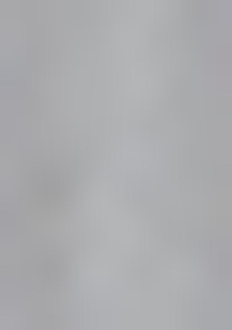 Grey Embroidered Net Salwar Kameez With Dupatta - Indya