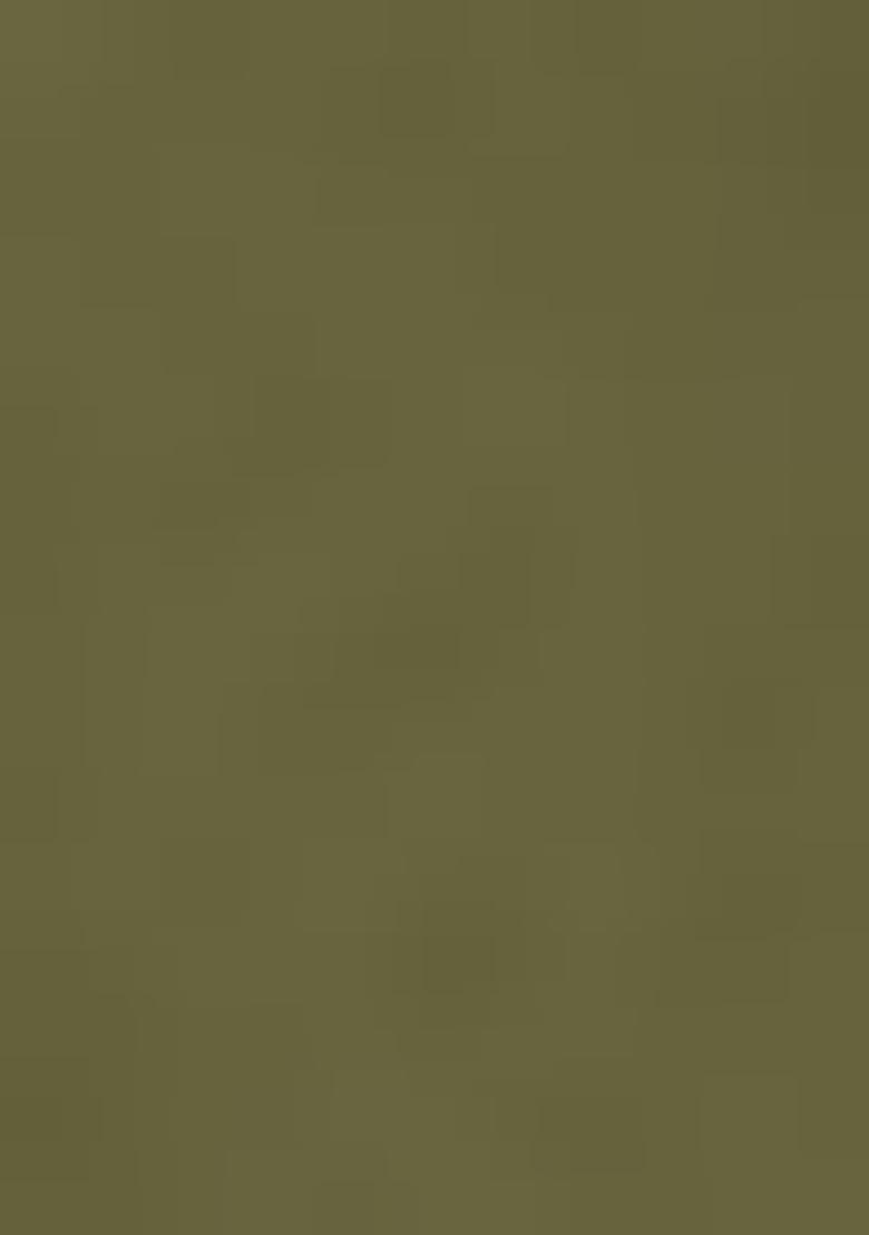 Olive Embroidered Net Salwar Kameez With Dupatta - Indya