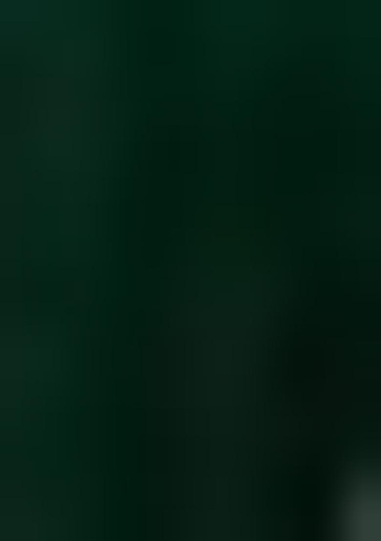 Green Embroidered Net Salwar Kameez With Dupatta - Indya