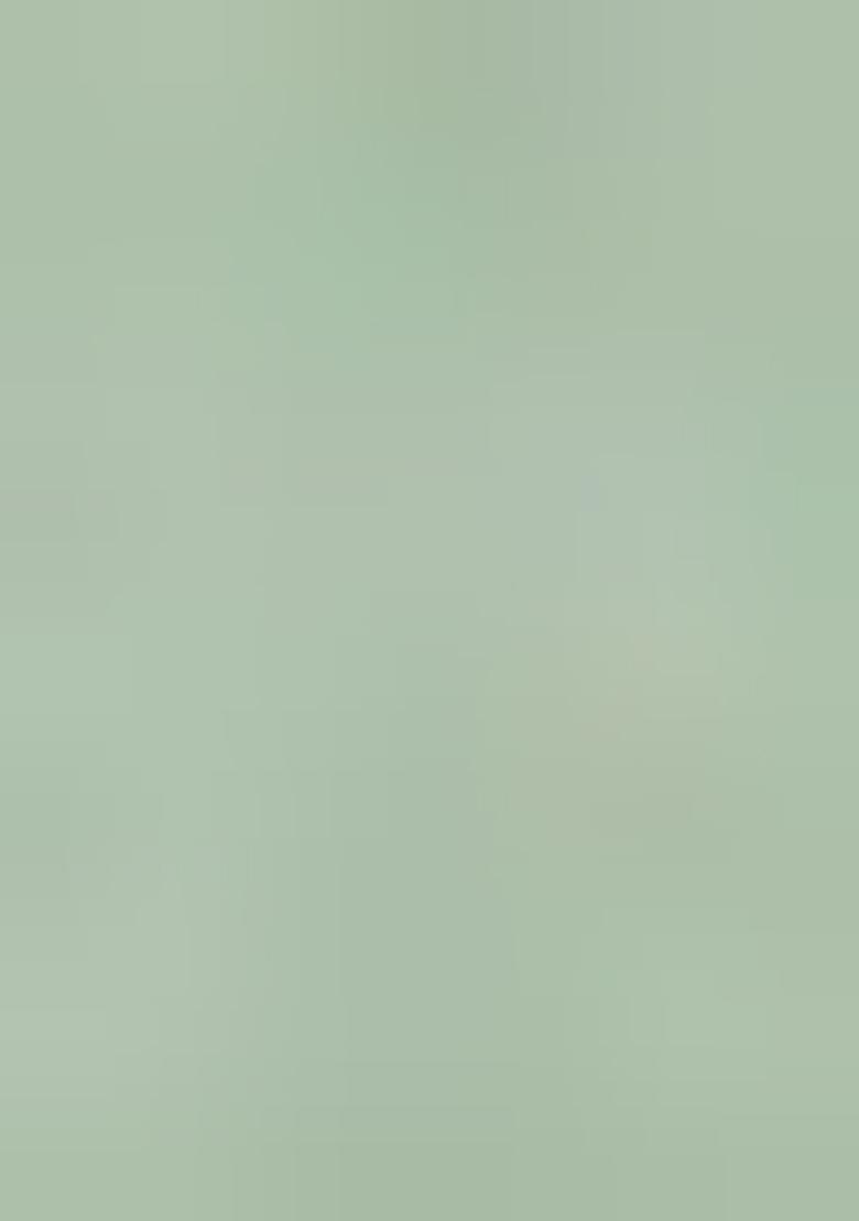 Green Embroidered Net Salwar Kameez With Dupatta - Indya