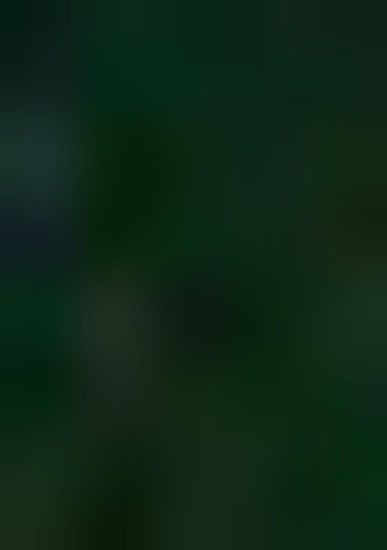 Green Embroidered Viscose Salwar Kameez With Dupatta - Indya