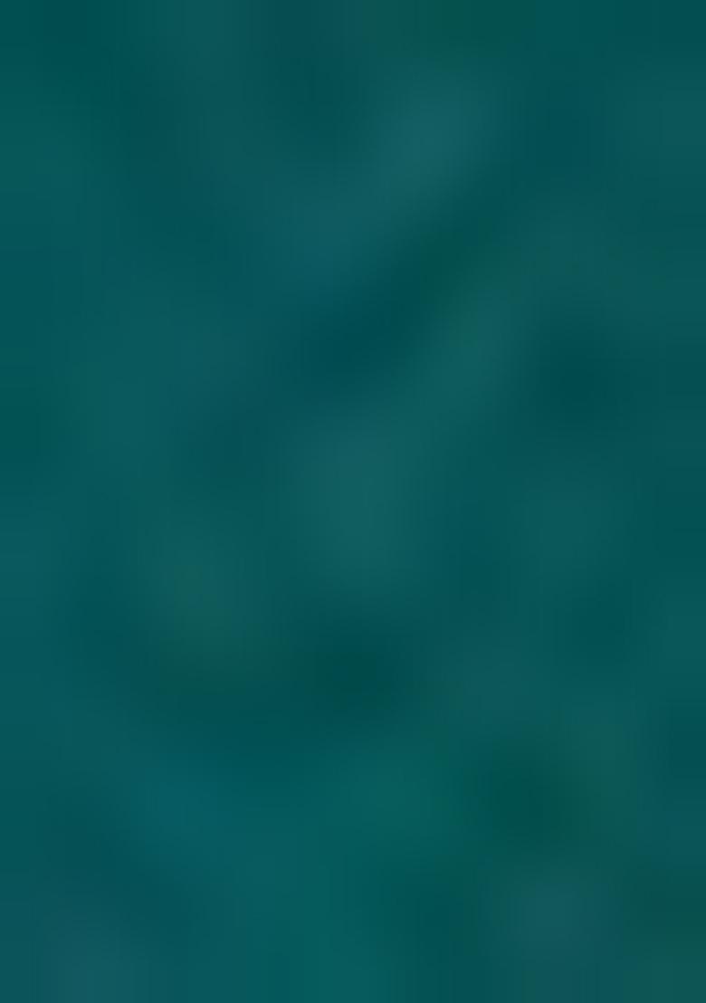 Blue Embroidered Chinon Sharara Set With Dupatta - Indya