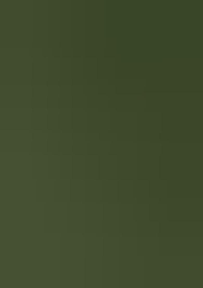 Green Embroidered Georgette Salwar Suit