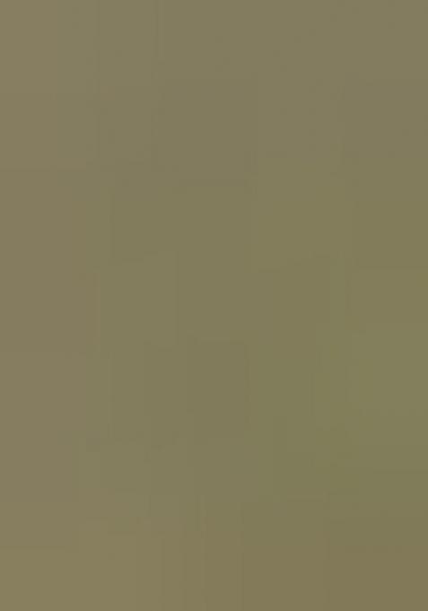 Light Green Embroidered Georgette Salwar Suit