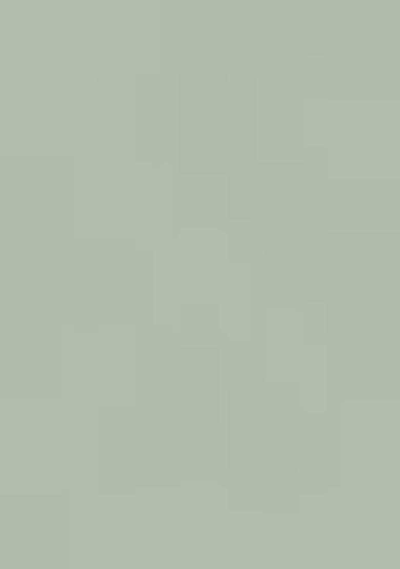 Pista Green Embroidered Chinon Salwar Suit