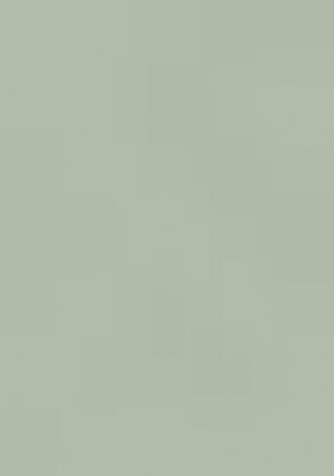 Pista Green Embroidered Chinon Salwar Suit