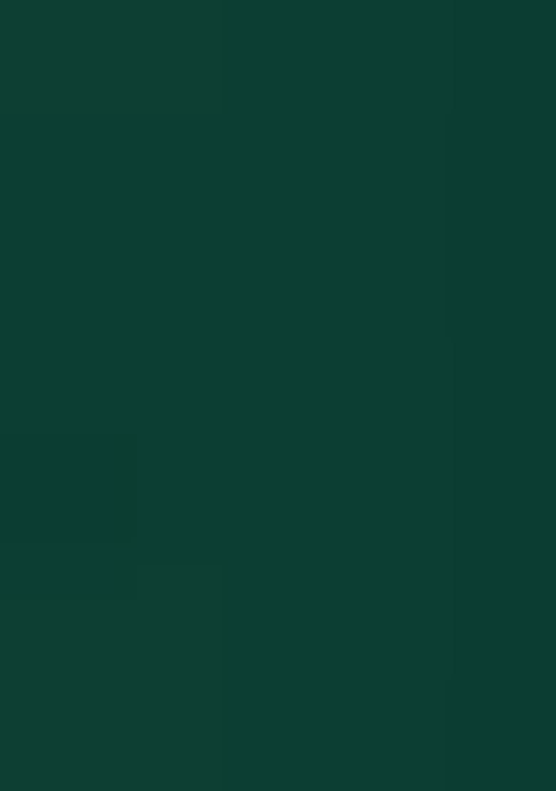 Green Embroidered Chinon Salwar Suit