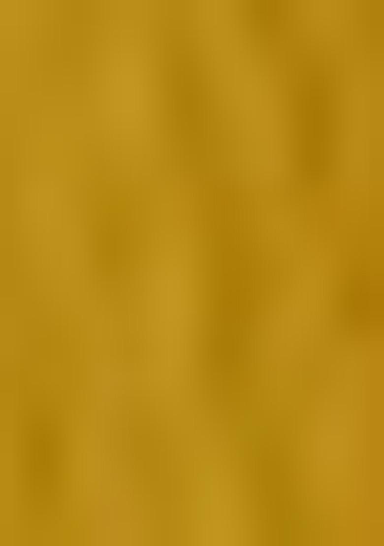 Mustard Embroidered Silk Salwar Kameez With Dupatta - Indya