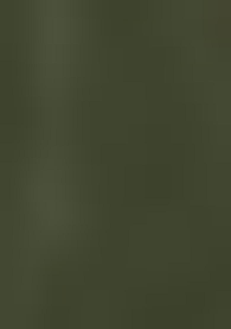 Mehendi Embroidered Silk Salwar Kameez With Dupatta - Indya