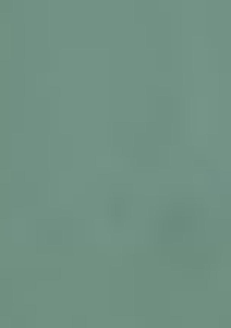 Light Green Embroidered Organza Salwar Kameez With Dupatta - Indya