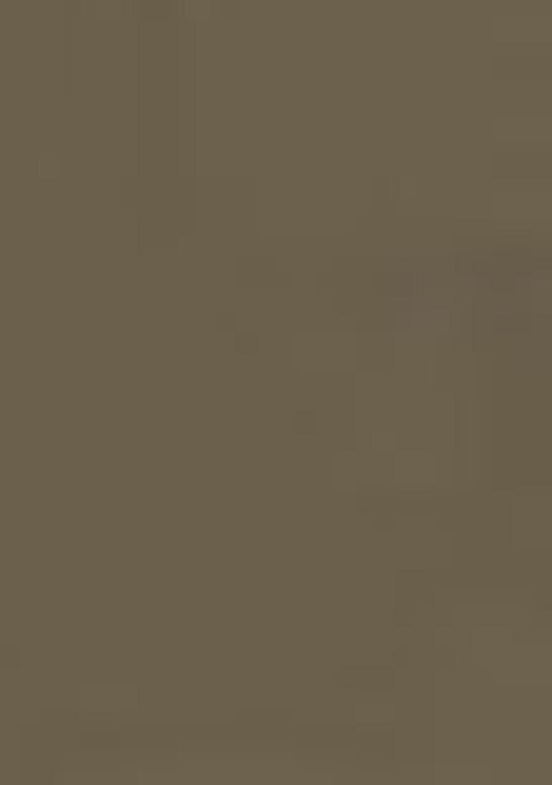 Olive Embroidered Pure Chanderi Silk Salwar Kameez With Dupatta - Indya