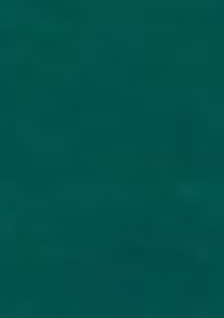 Mint Green Embroidered Silk Plazzo Set