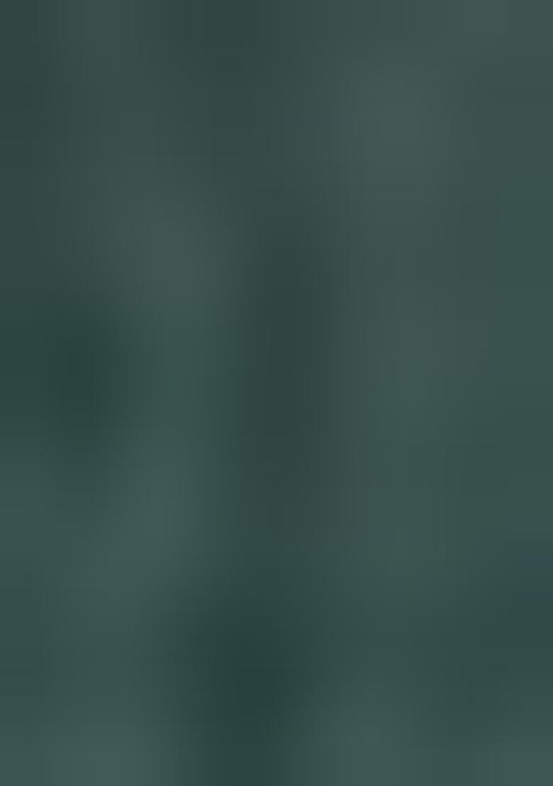 Green Embroidered Silk Sharara Set