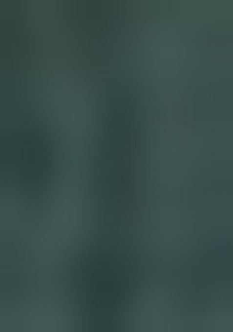 Green Embroidered Silk Sharara Set