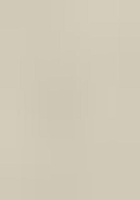 White Embroidered Organza Suit