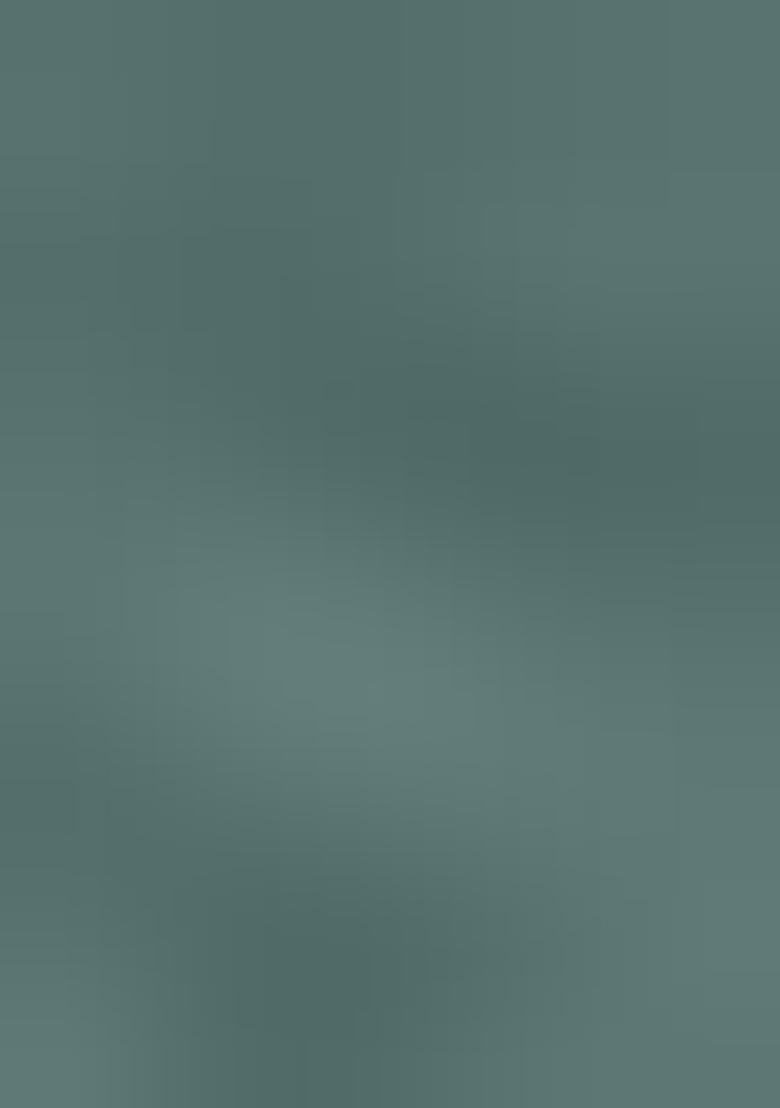 Dark Green Embroidered Organza Suit