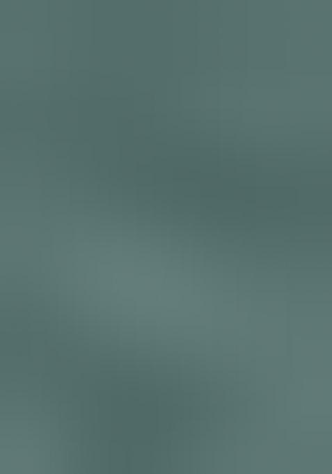 Dark Green Embroidered Organza Suit