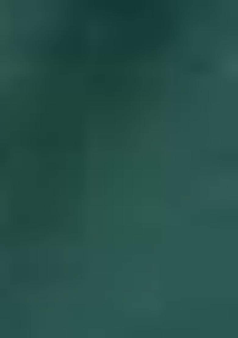 Green Embroidered Silk Salwar Kameez With Dupatta - Indya