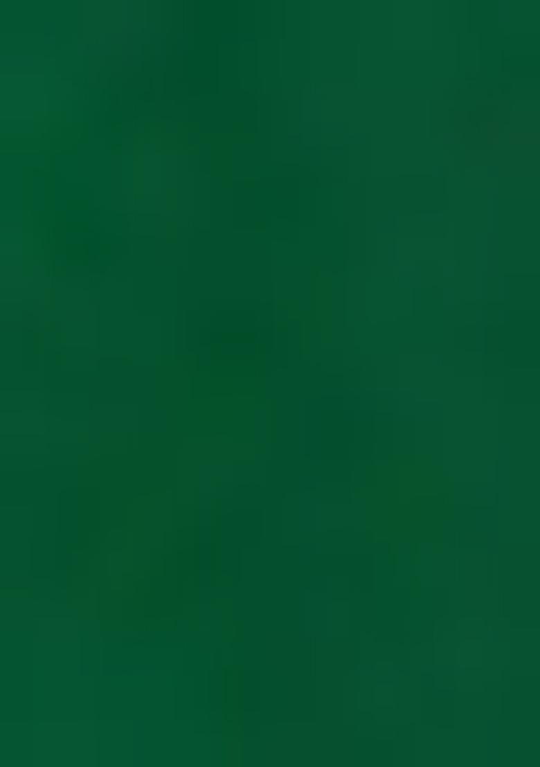 Green Embroidered Faux Georgette Salwar Kameez With Dupatta