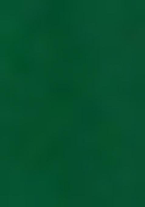 Green Embroidered Faux Georgette Salwar Kameez With Dupatta