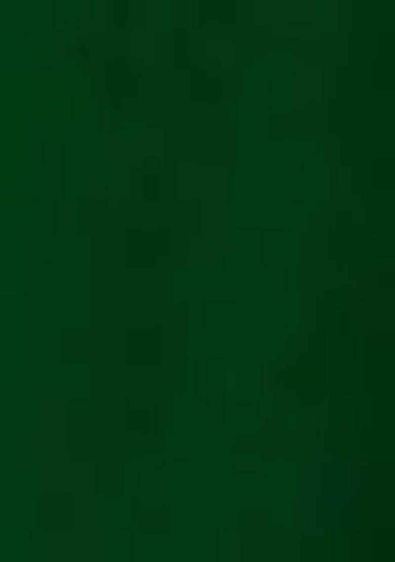 Green Embroidered Faux Georgette Salwar Kameez With Dupatta